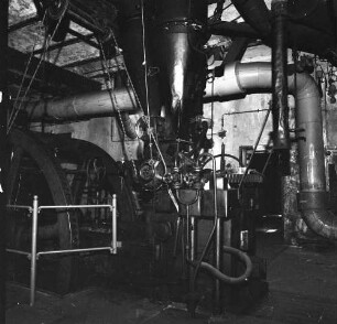 Uebigau-Wahrenbrück-Domsdorf. Brikettfabrik Louise (1882/1991 Kohleabbau; seit 1992 Technisches Denkmal). Pressenhaus. Brikettpresse (1893) mit Dampfantrieb