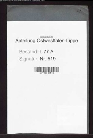 Revision der Geschäftsführung des Hebungsbeamten des Amtes Brake, Amtmann Holzapfel