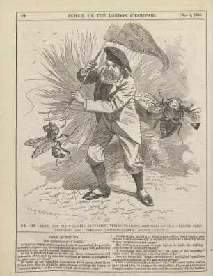 Sir J-hn L-bb-ck, the early-closing naturalist, trying to catch specimens of the "parvus shopkeeperus" and "parvulus kostermingerus" (genus "caupo")
