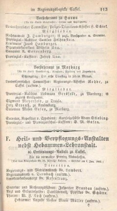 F. Heil -und Verpflegungs-Anstalten nebst Hebammen-Lehranstalt.