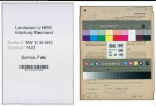 Entnazifizierung Felix Sarnes , geb. 31.12.1899 (Schausteller)