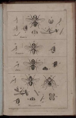 Tab. 42 [bis] Tab. 54 [Abb. siehe arabische Paginierung]
