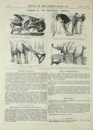Studies at the zoological gardens
