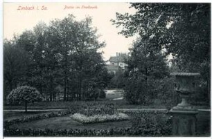 Bierer, Hermann