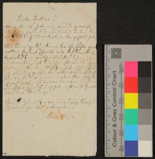 Brief von Karoline von Günderrode an Bettine von Arnim, o.D. [vermutlich letztes Drittel November 1805]