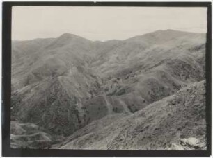Cordillera de Sombreros mit Quenua-Wäldern