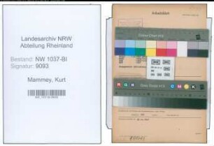 Entnazifizierung Kurt Mammey , geb. 30.11.1902 (Zollsekretaer)