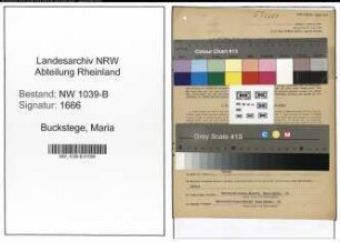 Entnazifizierung Maria Buckstege , geb. 11.05.1911 (Kohlenhaendlerin)