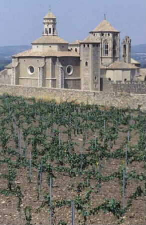 Monestir de Santa Maria de Poblet