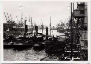 Bremen, Freihafen
