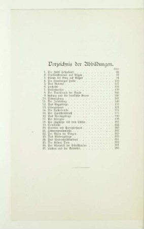 Verzeichnis der Abbildungen