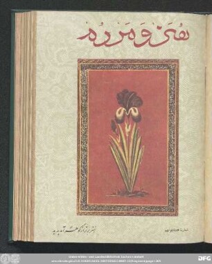 شمارۀ هفتاد و نهم [دورۀ جدید] [اردیبهشت ماه ۱۳٤٨]