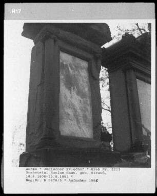 Grabstein von Rosine Haas (geborene Strauß) (gestorben 1893.08.23)