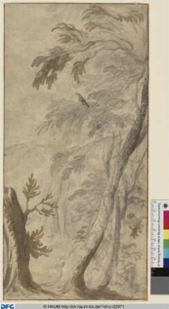 Vogel in einem Wald
