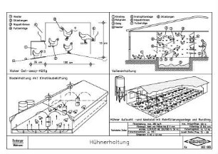 Hühnerhaltung