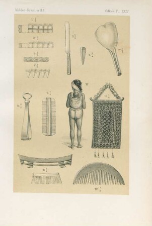 Pl. XXIV