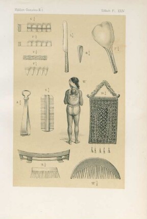 Pl. XXIV