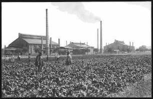 Brockwitz. Glasfabrik, 1992 geschlossen