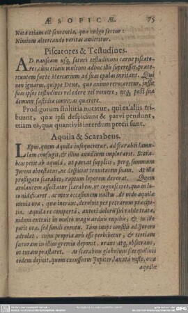 Aquila & Scarabens