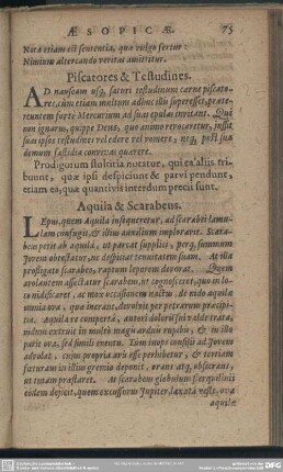 Aquila & Scarabens