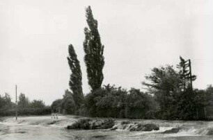 Elster bei Großzschocher (An der Pferdeschmemme) 13. Juli, 1 Tag nach Höchststand, Hochwasser Juli 1954 : Wasser des Mühlgrabens überschwämmte Gärten und ergoss sich dann in Elster