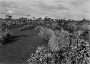 Busch- und Strauchlandschaft : Busch- und Strauchlandschaft nahe eines Landguts.