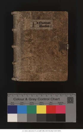 Henricus de Frimaria. Gerardus de Zutphania. De virginitate. Johannes de Schonhavia. Historia de conflictu animae. Henricus de Langenstein. Ps.-Hieronymus. Orationes de sanctis