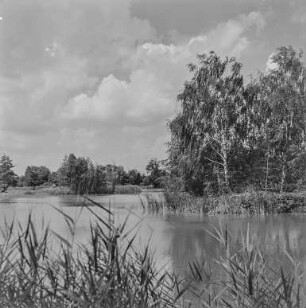 Landschaft bei Neschwitz : Neschwitz. Teichlandschaft