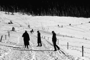 Schauinsland: Wintersportszenen auf der Halde (Hofsgrund)