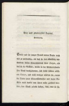 Vier und zwanzigstes Kapitel. Fortsetzung.