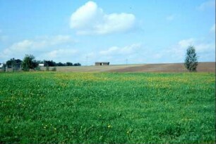Blick in Richtung nordwestliche Außenflur, frei stehende Scheune
