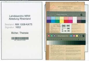 Entnazifizierung Therese Bicher , geb. 28.05.1907 (Lehrerin)