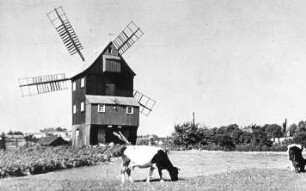 Eibau-Neueibau. Neumanns- oder Zimmermann-Mühle, Bockmühle, Repro
