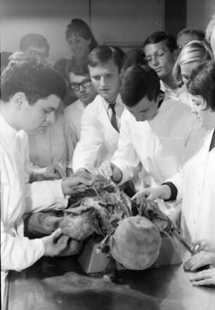 Freiburg: Medizinstudenten beim Sezieren, im Hörsaal der Anatomie