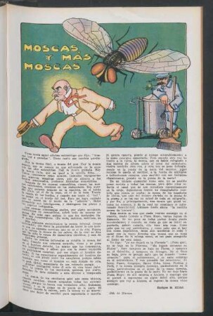 Moscas y más moscas