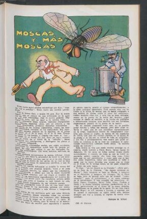 Moscas y más moscas