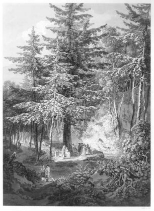 Friedrichsgrund, Wasserfall und fürstliche Gesellschaft : Zingg, Adrian. Friedrichsgrund, Wasserfall und fürstliche Gesellschaft. Umrißradierung, Sepia; 42,3 x 30,6 cm. Dresden: Kupferstich-Kabinett A 1906-158 (in Zingg III)