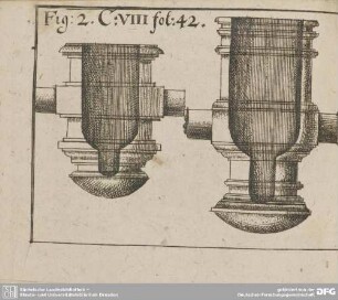 Fig: 2. C: VIII fol: 42.