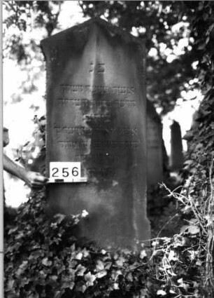 Grabstein 256 (Index: 100085151) Maße HxBxT: 167x56x24 cm Beschreibung: Stele, profil. Sockel, Zahnfries, giebelart. Abschl. , Schrift eingetieft m. Rundbog. abs: Grabstein 256