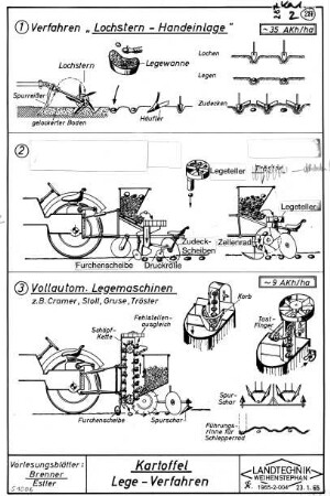 Kartoffel Lege-Verfahren