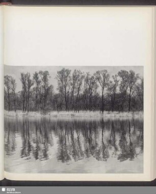 Auf den Rheininseln