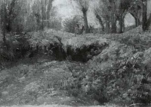 Sommerlandschaft