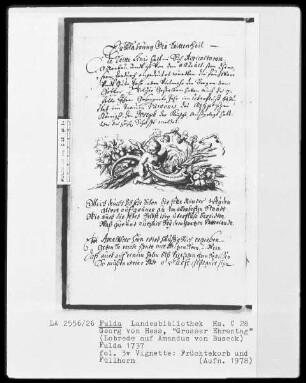 Georg Friedrich Heß, Großer Ehrentag, Lobrede auf Amadeus von Buseck — Vignette mit Putto, Früchtekorb und Füllhorn, Folio 3 verso
