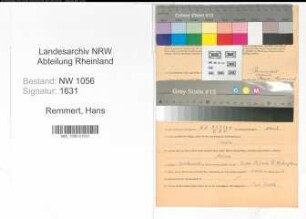 Entnazifizierung Hans Remmert , geb. 17.07.1904 (Angestellter)