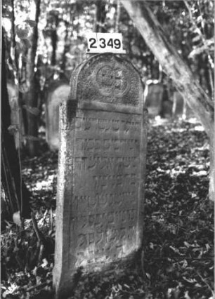 Grabstein 2349