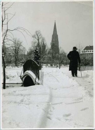 Freiburger Stadtgarten im Winter
