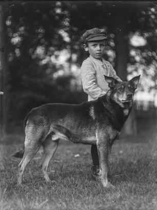 Jungenportrait : Portrait eines Jungen mit einem Schäferhund, wohl Rudolf Zimmermanns Neffe Lothar.