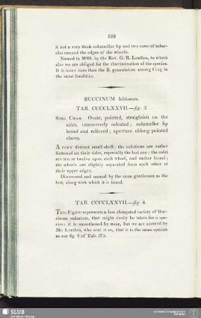 Tab. CCCCLXXVII. - fig. 4