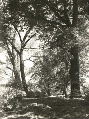 Wilsdruff. Schlosspark