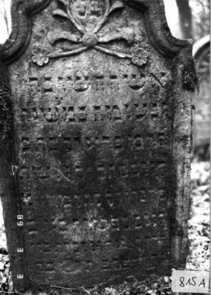 Grabstein 815 (Index: 99751488) Material: Sandstein Zustand: leicht verwittert mit Textverlust Maße HxBxT: 112x59x11 cm Beschreibung: Stele, geschwungen eingezogener Rundbogenabschluß, Schriftfeld eingetieft Symbolik: Ranken, Blüten: Grabstein 815A